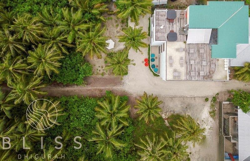 BLISS DHIGURAH