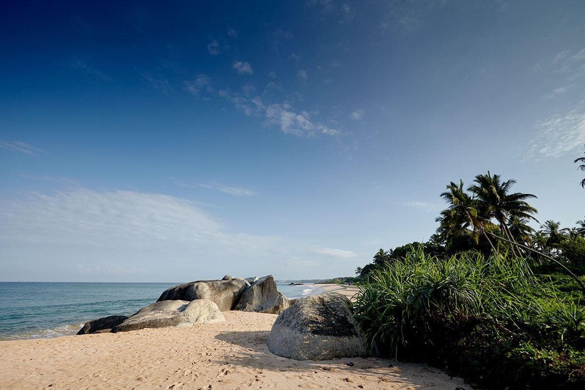Calamansi Cove by Jetwing