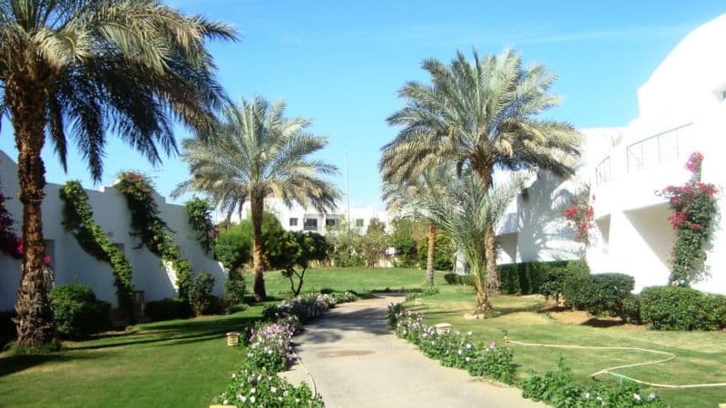 Luna Sharm Hotel