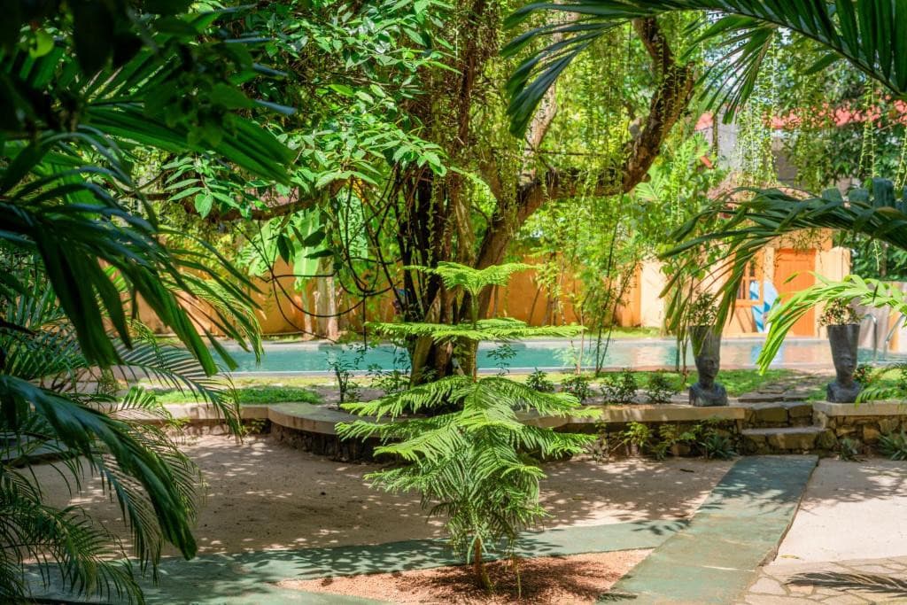 Monkey Villa