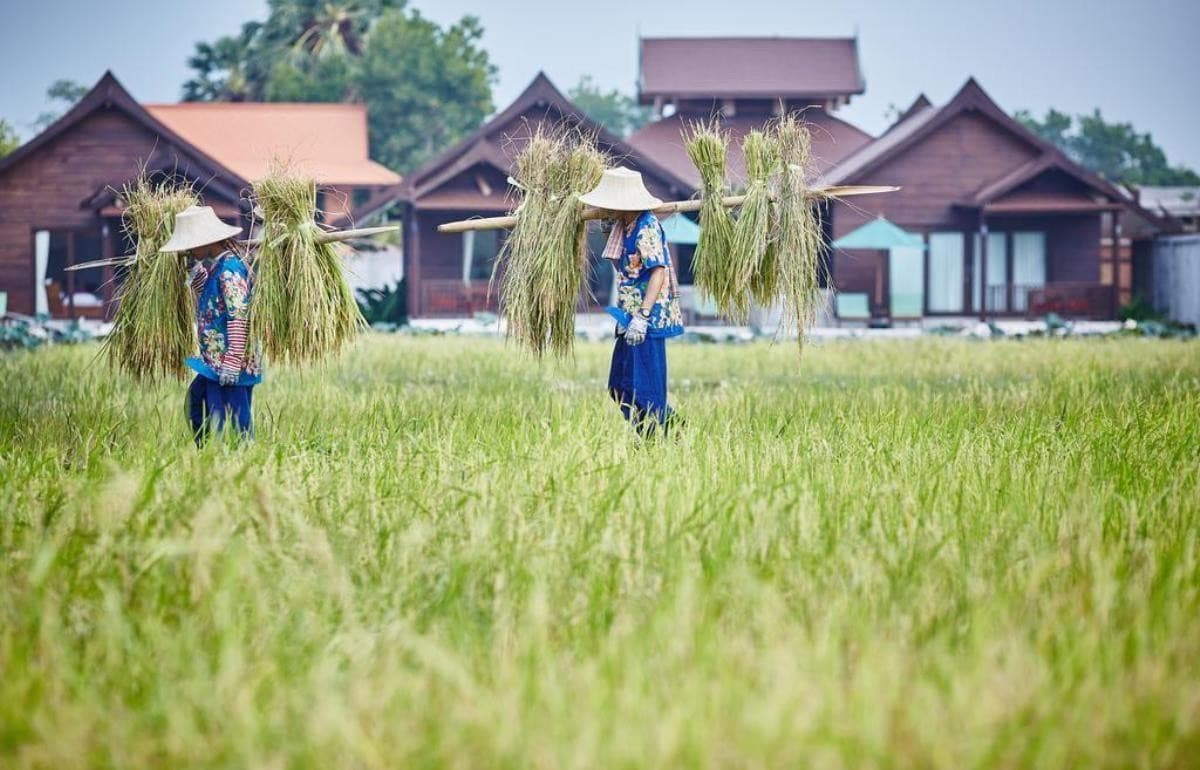 Farmer's Boutique Resort