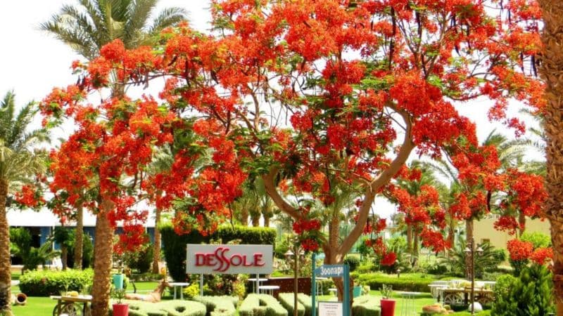 Dessole Royal Rojana Resort