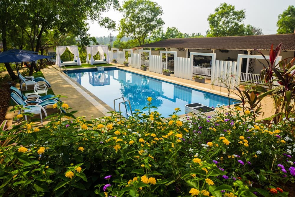 WHITE WOOD RESORT MORJIM