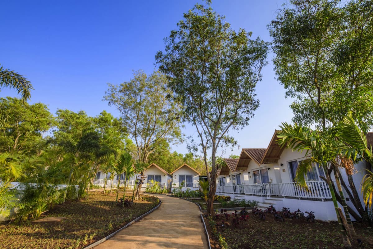 WHITE WOOD RESORT MORJIM