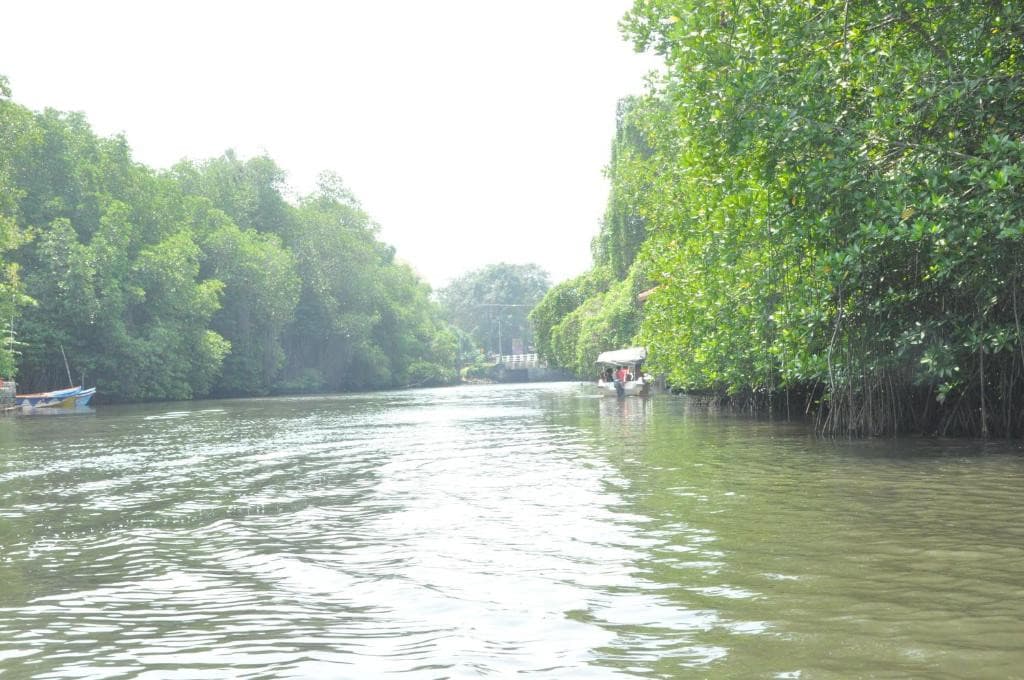 Muthumuni Ayurveda River Resort