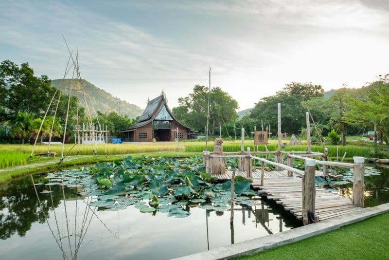 Naina Resort & Spa