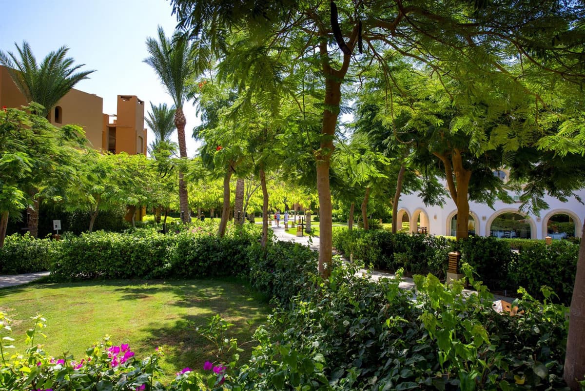 Stella Di Mare Beach Resort & Spa Makadi Bay