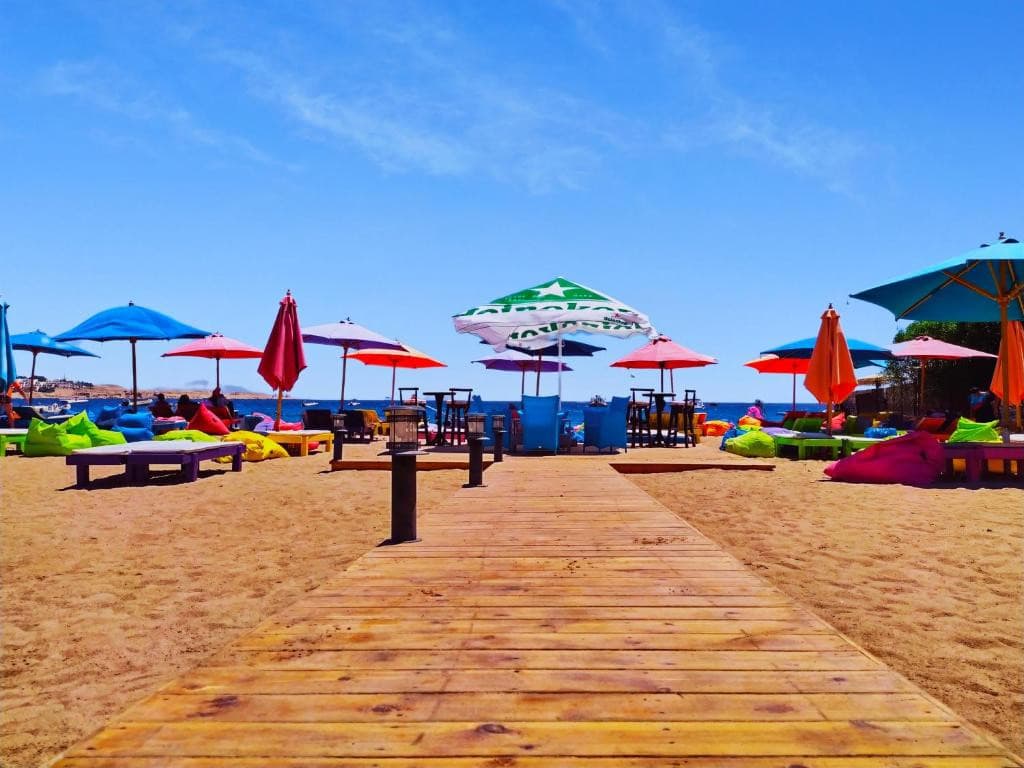 Falcon Naama Blue