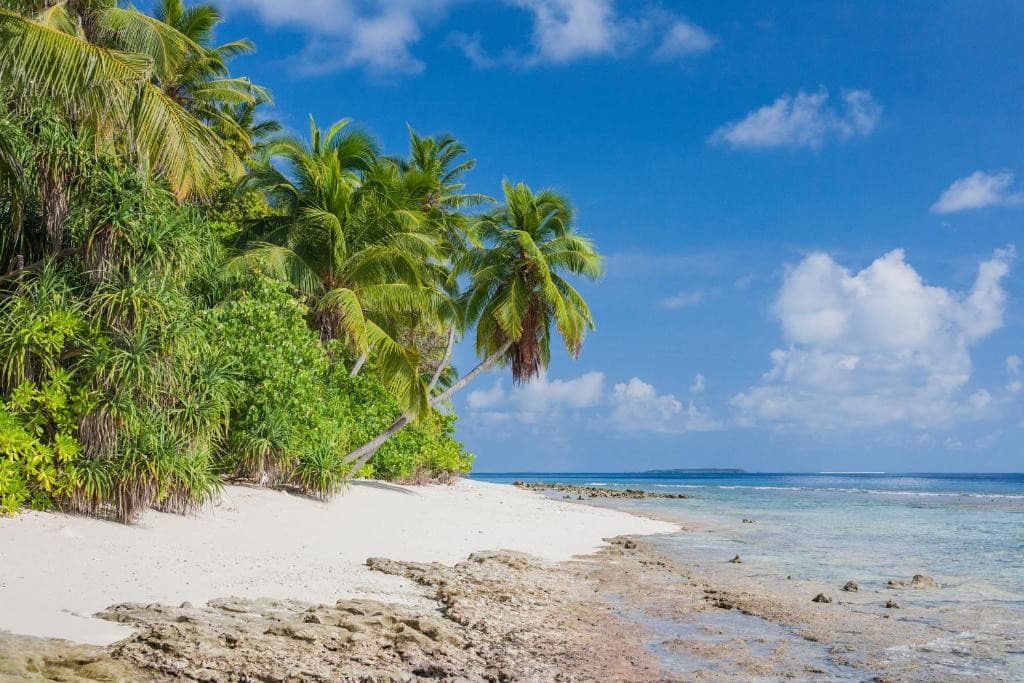 DHONFULHAFI BEACH VIEW & SPA