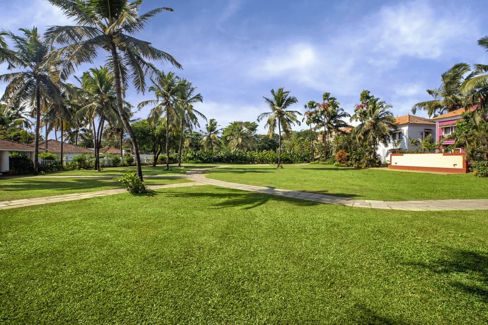 RADISSON BLU RESORT CAVELOSSIM BEACH
