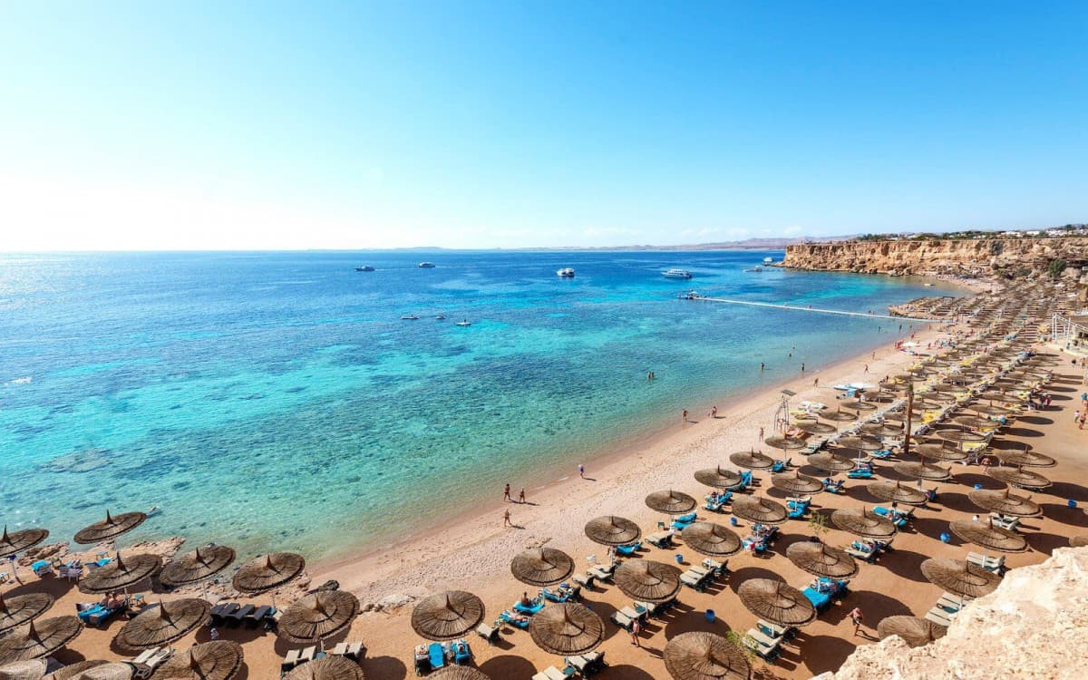 Reef Oasis Beach Resort