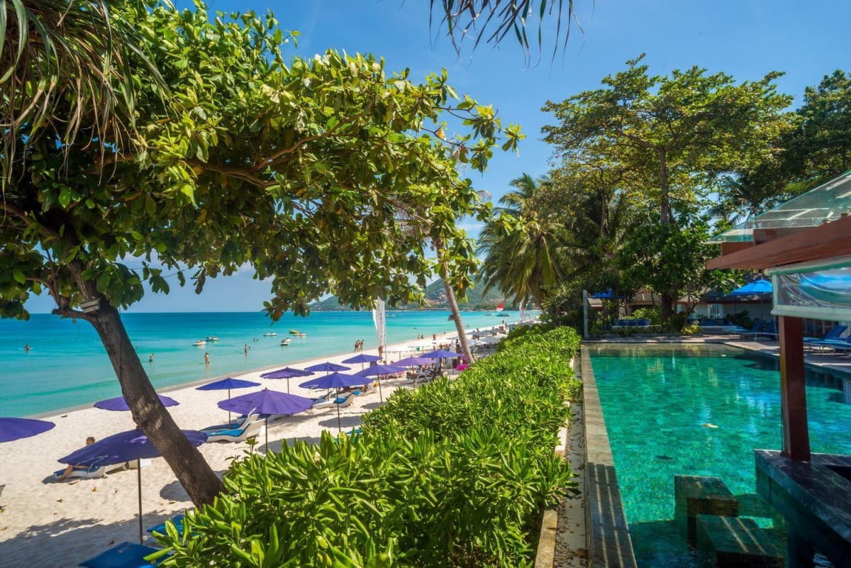 Synergy Samui