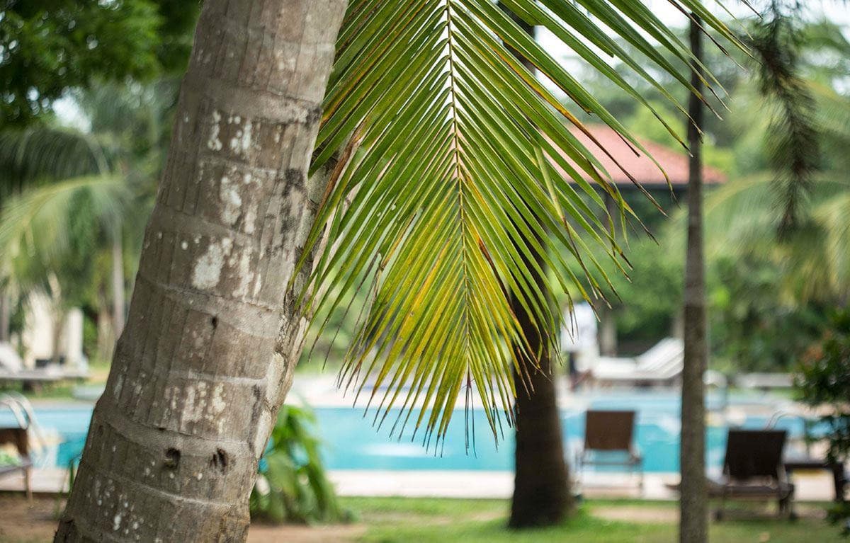 Ranna 212 Beach Resort