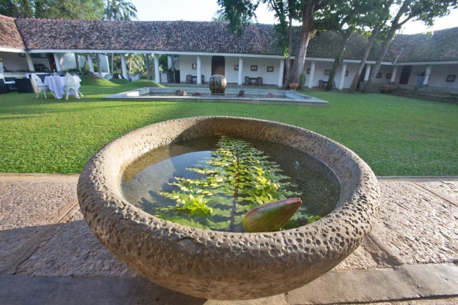 Tamarind Hill