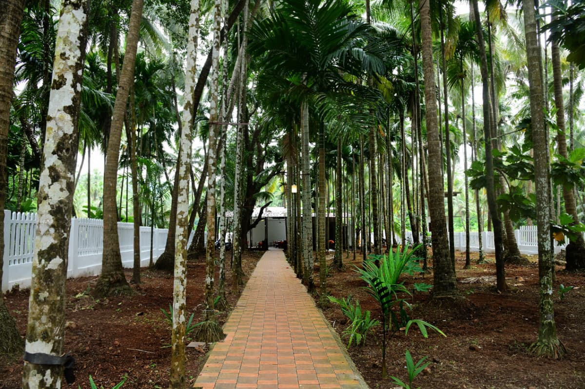 Arambol Paradise Village Resort