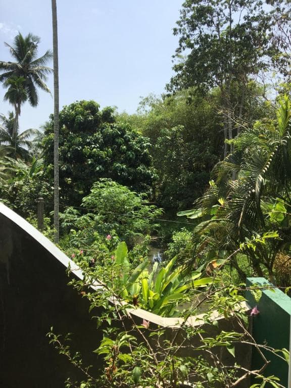 Backpacker's Lodge Unawatuna