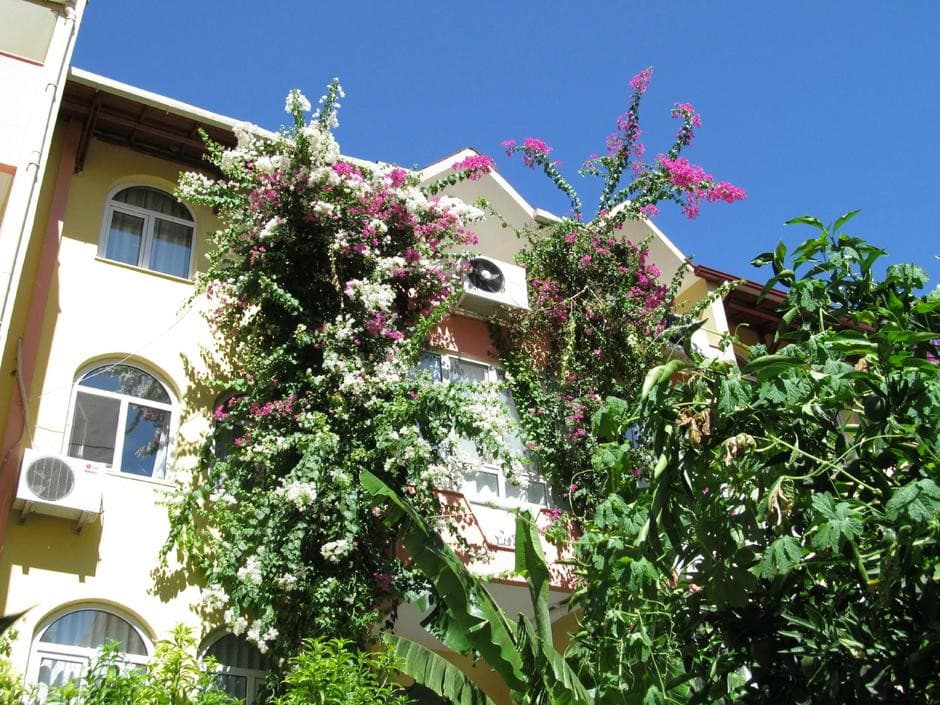Marin Hotel