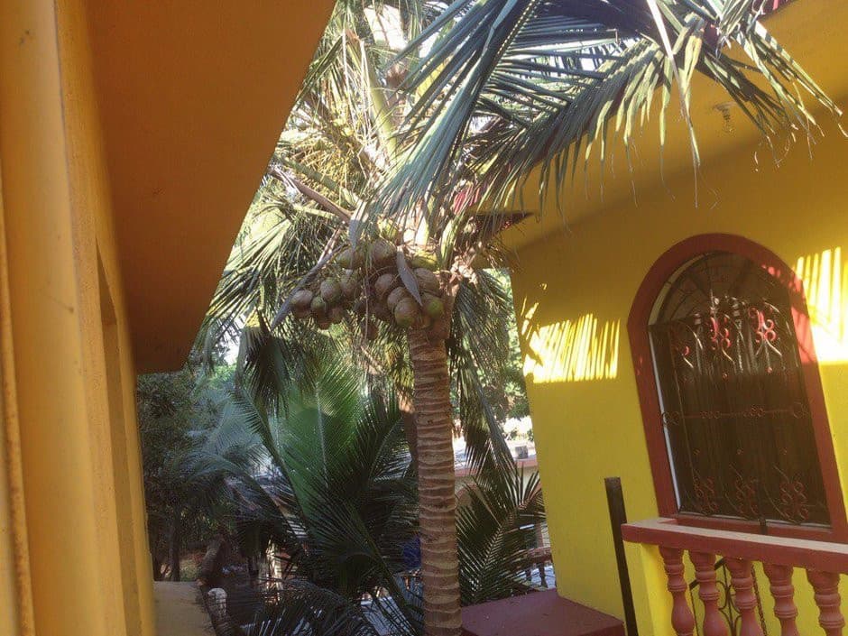 Jacqueline Residency