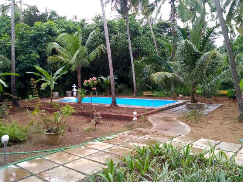 Morjim Plaza