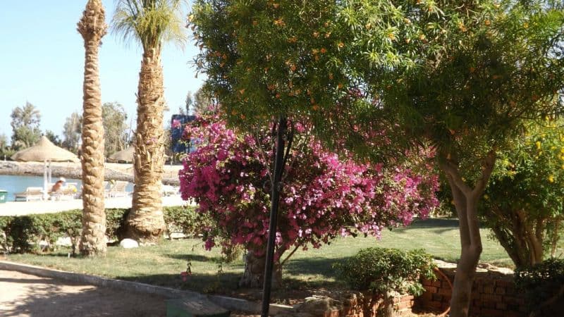El Samaka Comfort Hotel