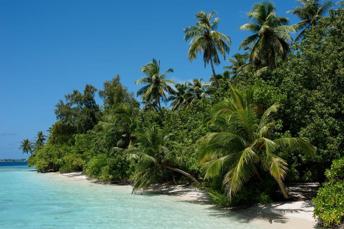 Biyadhoo Island Resort