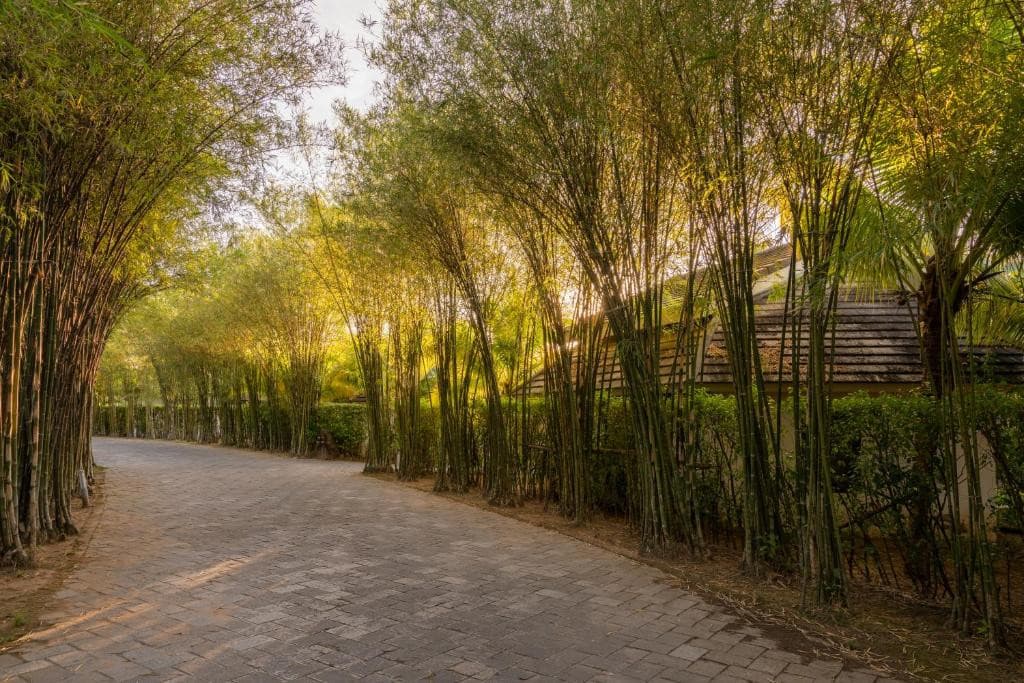 THE SHELLS RESORT & SPA