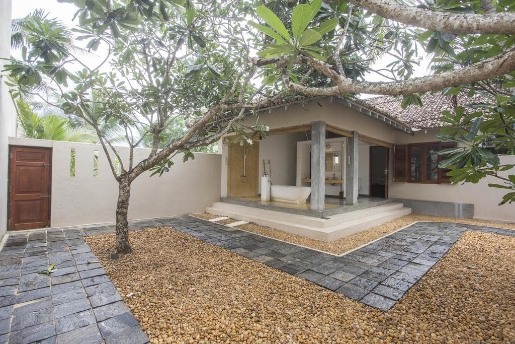 The Frangipani Tree