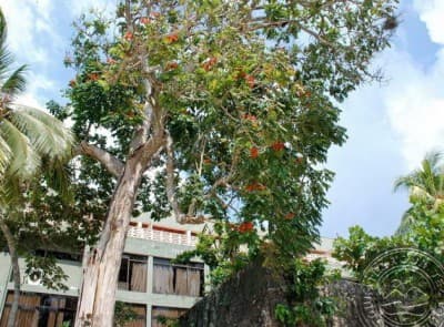 Bay Beach Hotel