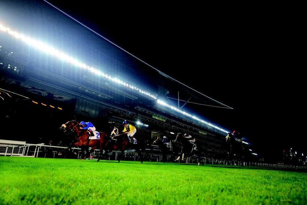 The Meydan Hotel