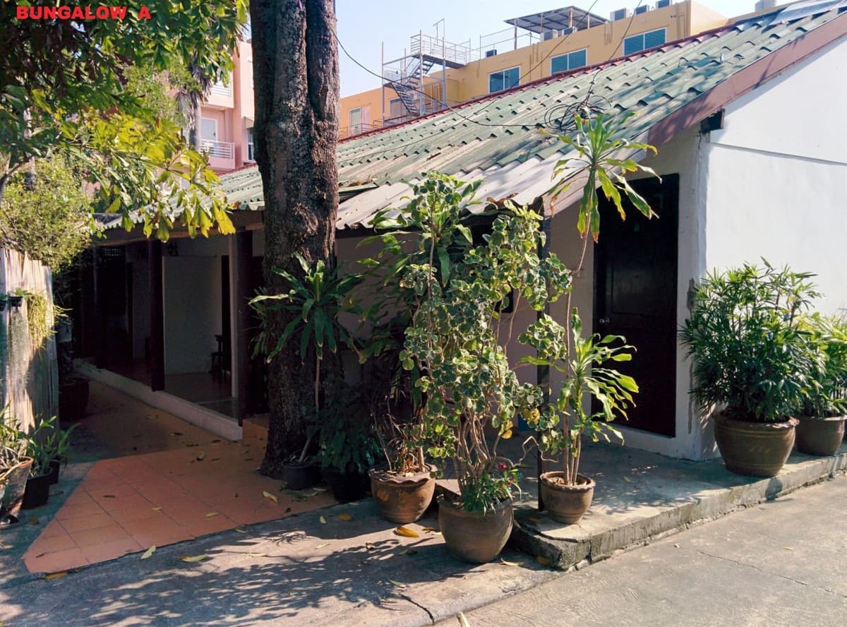 Bamboo Village