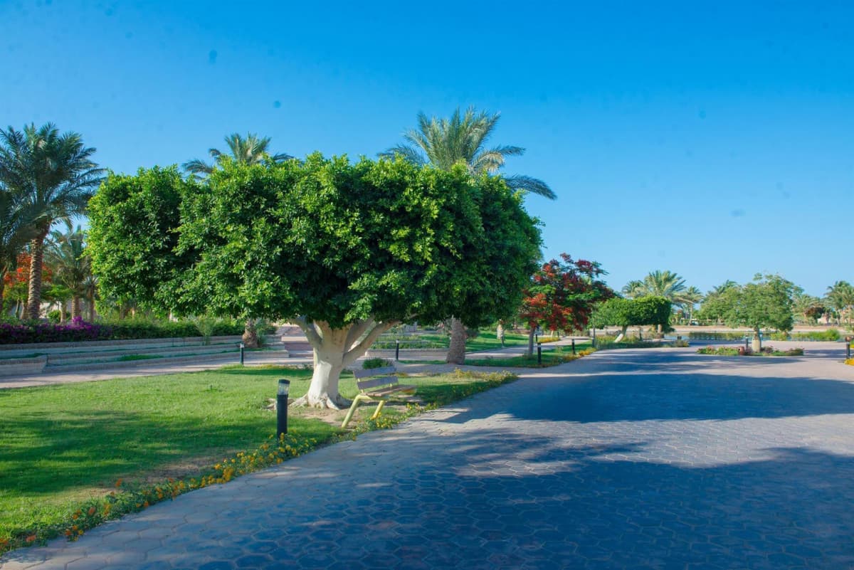 Pharaoh Azur Resort