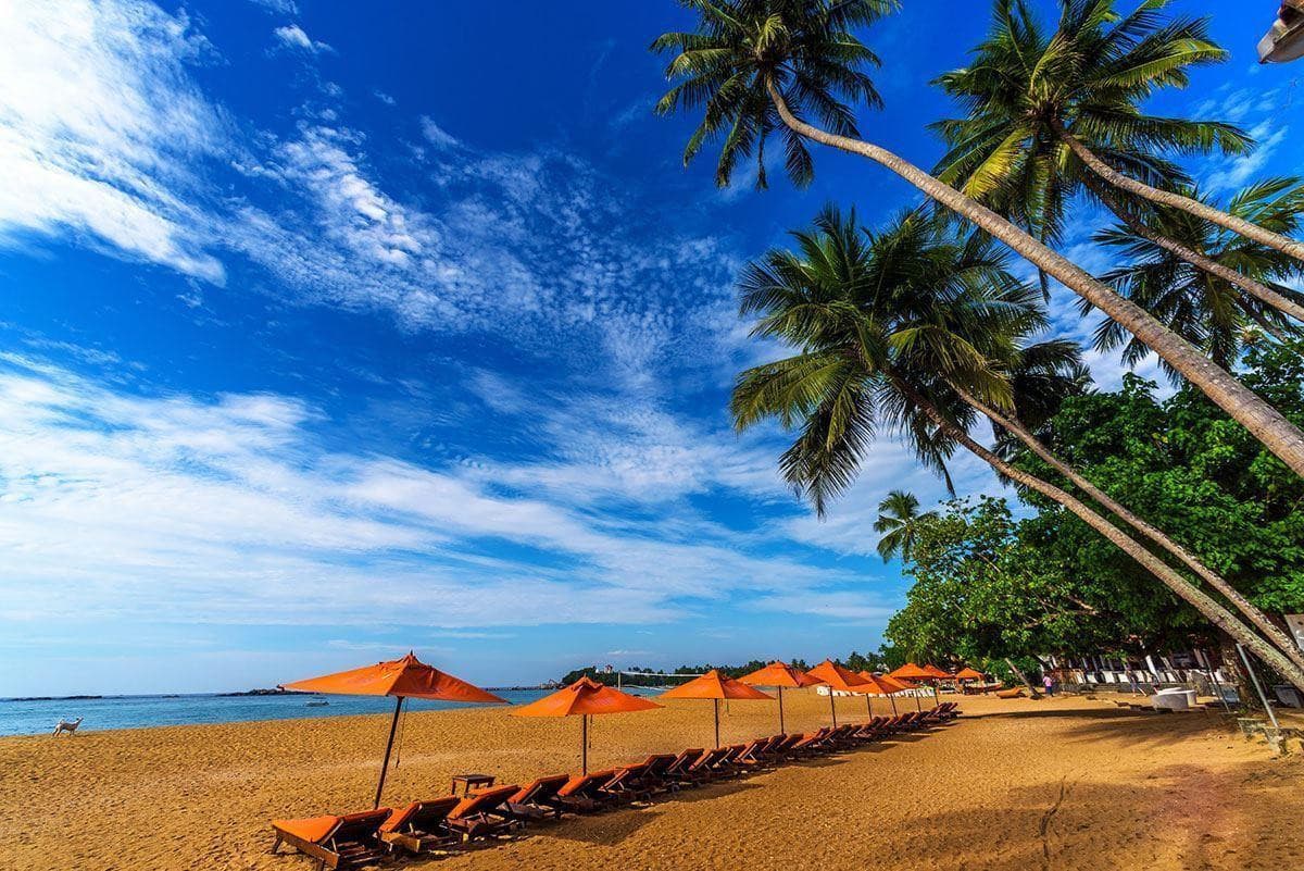 Calamander Unawatuna Beach