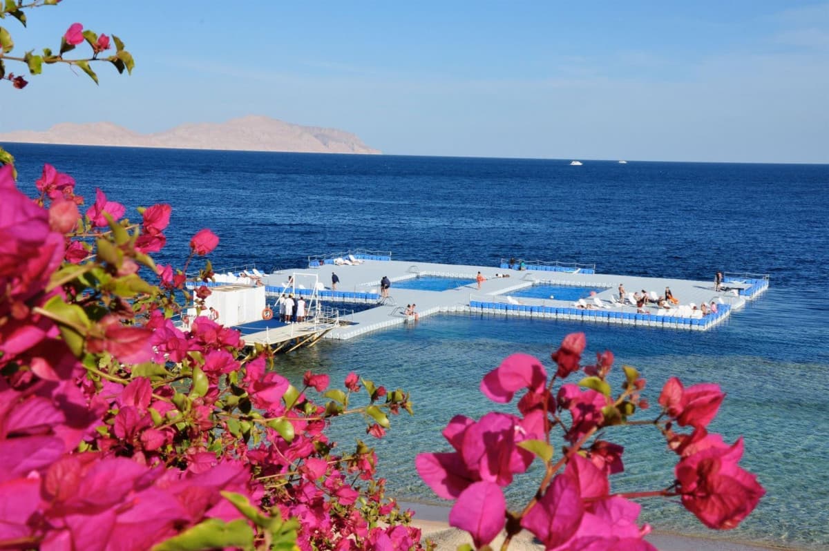 Domina Coral Bay Oasis