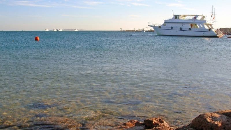 Sea Garden