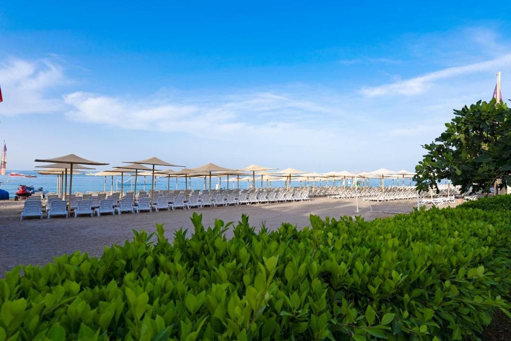 Lycus Beach